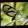 渐行渐远 profil fotoğrafı