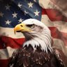 We the People🇺🇸 profil fotoğrafı