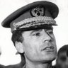 القيل اليماني's profile picture