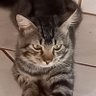 Profilbild von CLARA