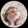 Фото профиля CatsFriends
