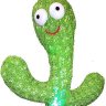 Profilbild von さぼてんまん