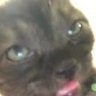 Mid_KnightTTV 的头像