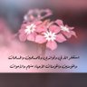 Фото профиля 🌸🩶