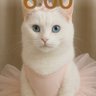 Laynara Ketlem's profile picture