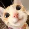 okyYello 的头像