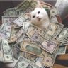 Xuan profil fotoğrafı