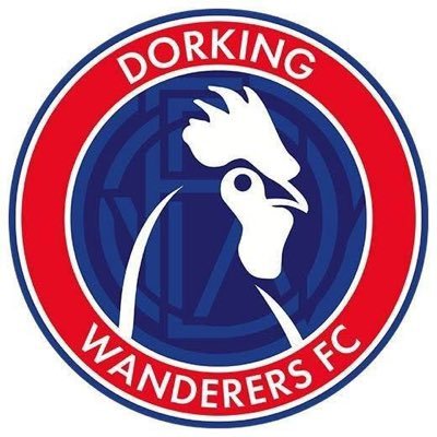 Dorking Wanderers FC's profile picture