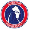 Dorking Wanderers FC 的头像