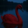 Фото профиля Cygne “Muh, my 401k!😫” Rouge