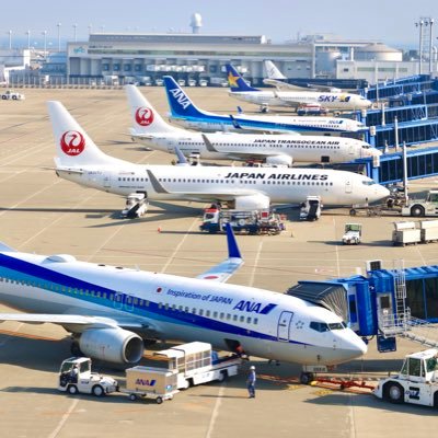 セントレア空旅's profile picture