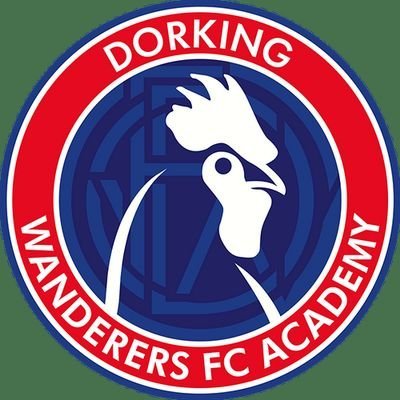 Dorking Wanderers Academy's profile picture