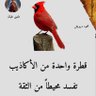 Фото профиля انا عازب وابحث عن بنت الحلال
