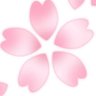 Profilbild von さくら🌸