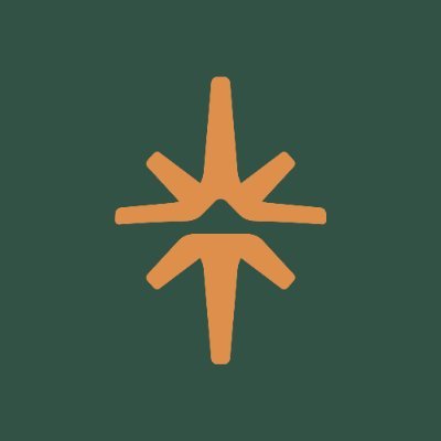 Polaris ✴️'s profile picture
