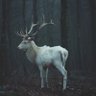 Фото профиля I’ve