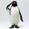 りょ〜's profile picture