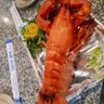 tranai 的头像
