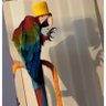 buggy's profile picture