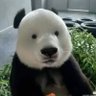 ‘ 的头像