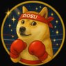 AICH 🚀 DOSU Army 🚀 的头像