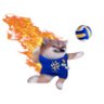 anders johnsen's profile picture