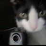 Soldier Cat's 的头像