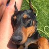Dawn's profile picture