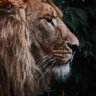 peterG..'s profile picture