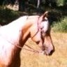 Profilbild von Annie Kastner