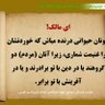 وطنم پاره تنم profil fotoğrafı
