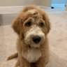 Stone石头 profil fotoğrafı