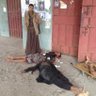 ابّوَ حُرَبّ 的头像