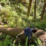غـدير profil fotoğrafı