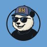 Profilbild von B. Hamza