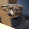 Michel Guaucault's profile picture