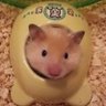Profilbild von きな