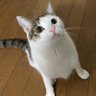 Фото профиля エゴし兄さん