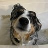 abby's profile picture