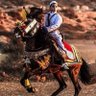 Фото профиля ھشام أحمد