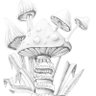 Bořek's profile picture