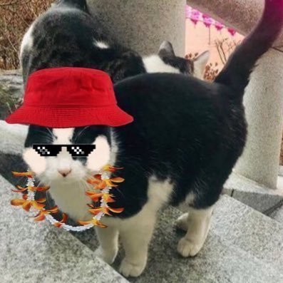 aaEZtar's profile picture