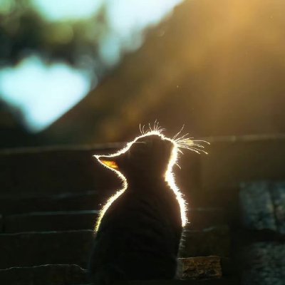 casketprod's profile picture