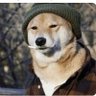 Darlou profil fotoğrafı