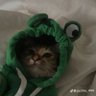 R3Xu's profile picture
