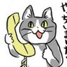Profilbild von だいちゃん