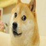 Justa Name 的头像