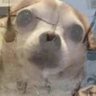 Dajabito 🇵🇱's profile picture