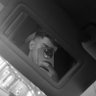 H's profile picture