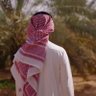 وجدي الخامري's profile picture
